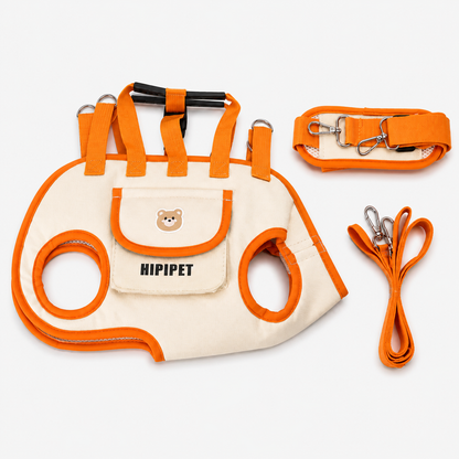 Pawsenger Hands-Free Pet Carrier Set — Carrier + Shoulder Strap + Leash